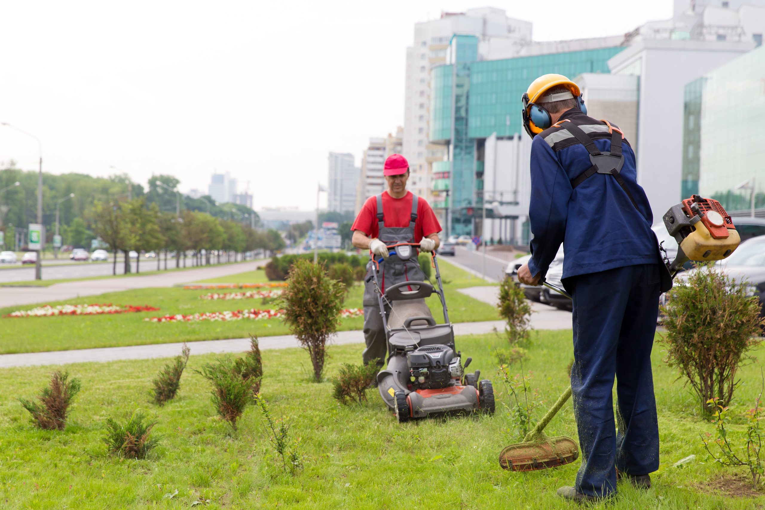 Commercial Landscape Maintenance Civil Scape