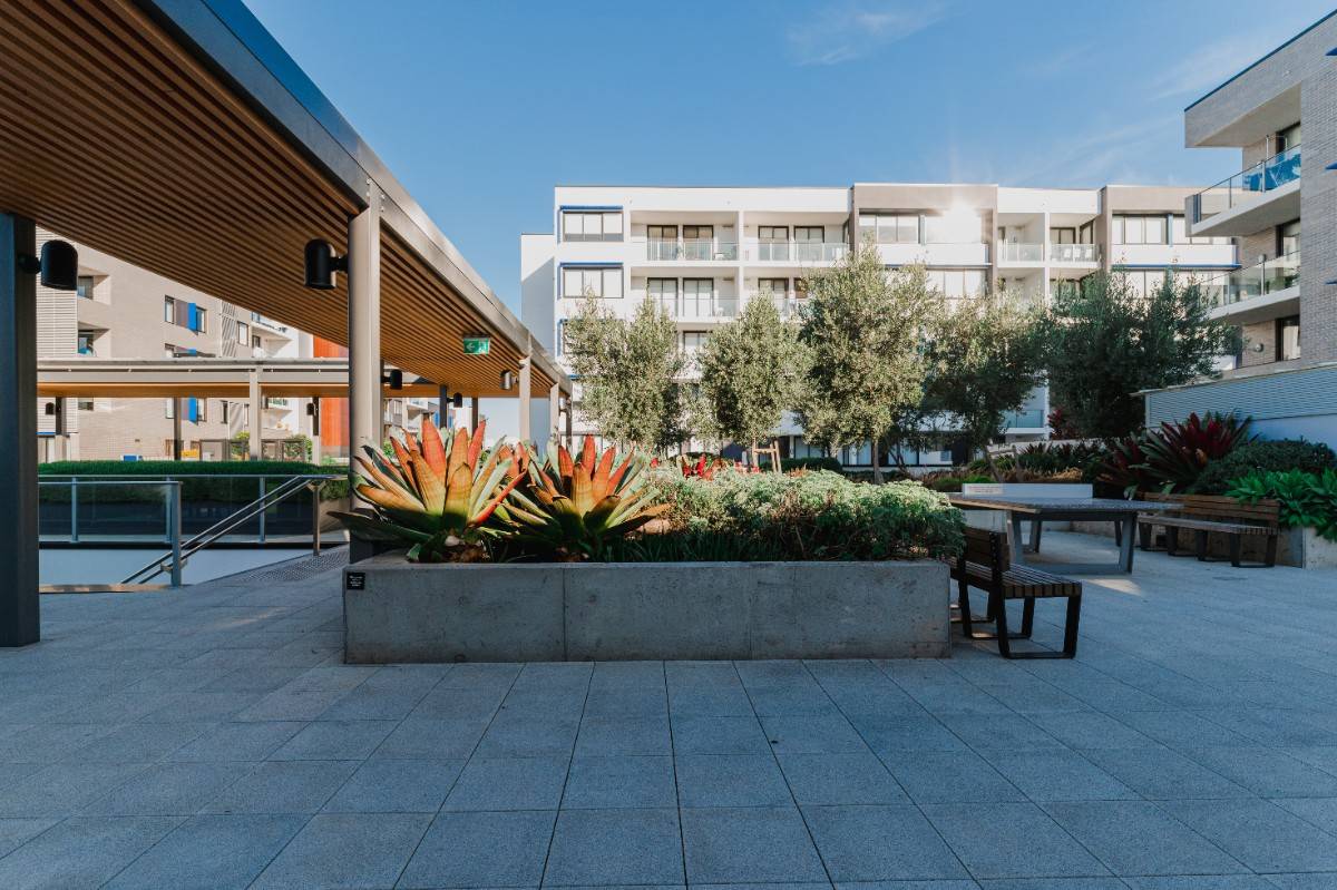 Commercial landscape construction