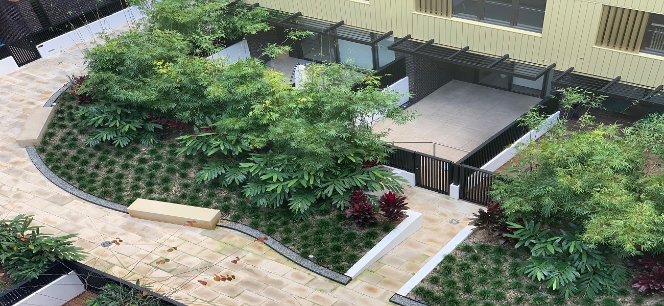 Landscaping in Sydney Gardens