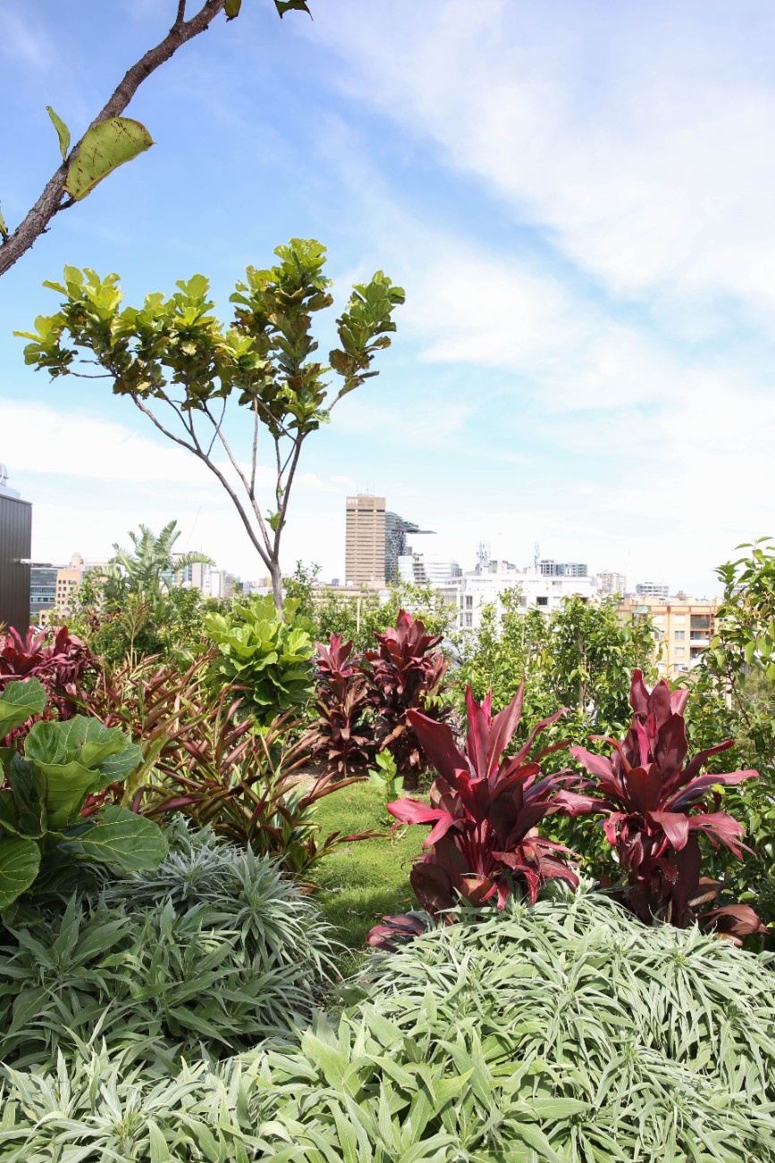 Designing shared gardens